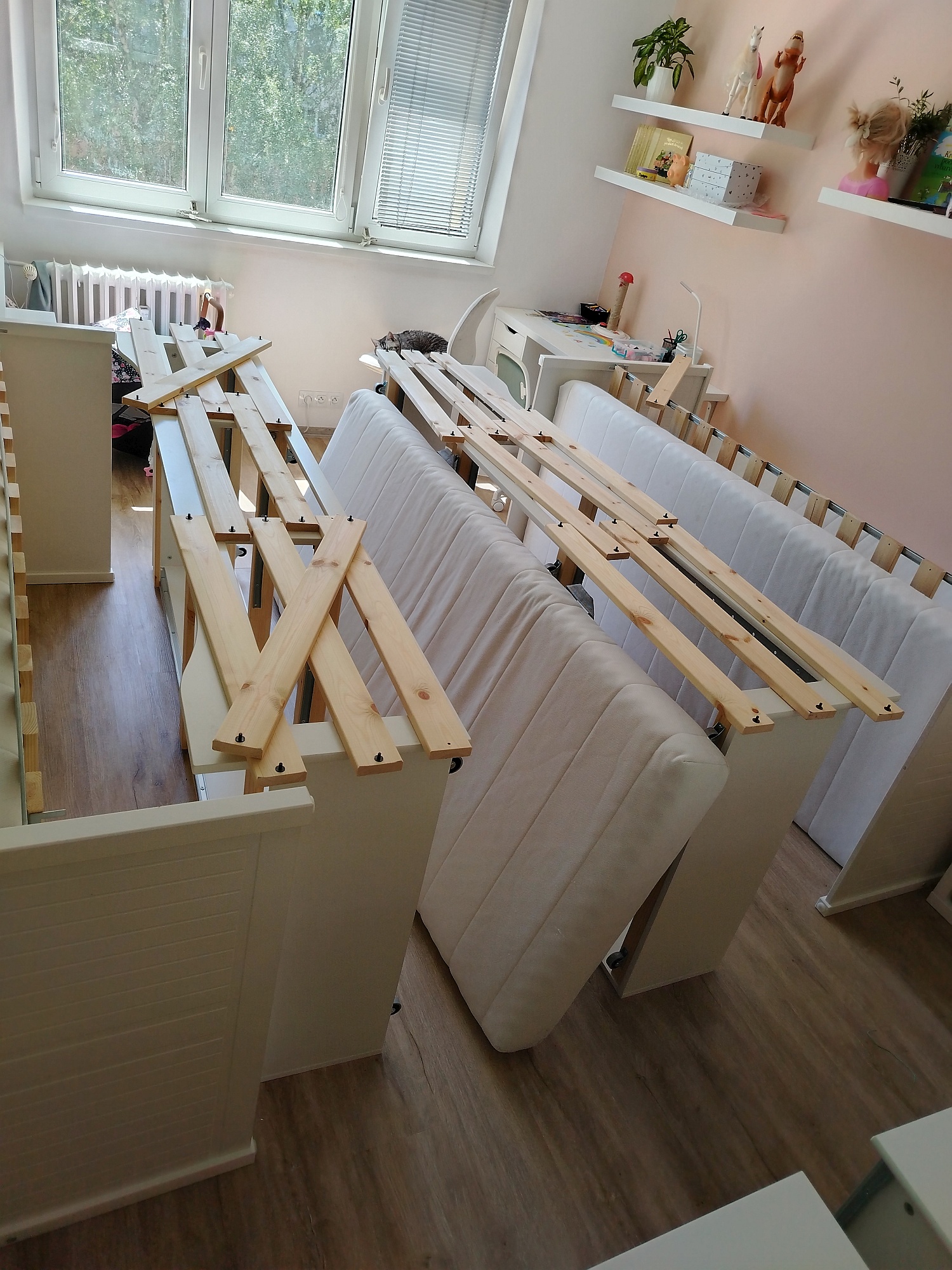 priprava pred postrikem stenic